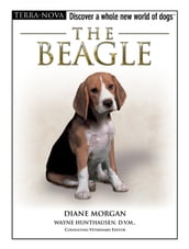 The Beagle