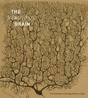 The Beautiful Brain