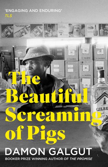 The Beautiful Screaming of Pigs - Damon Galgut