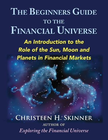 The Beginners Guide to the Financial Universe - Christeen H. Skinner