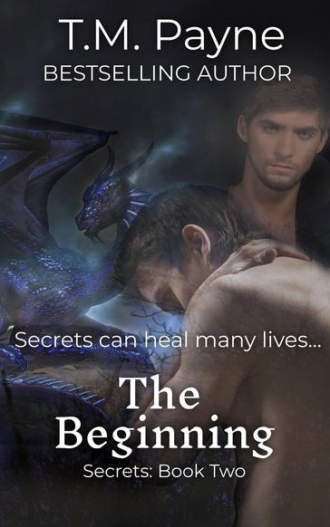 The Beginning: Secrets: Book Two - T.M. Payne