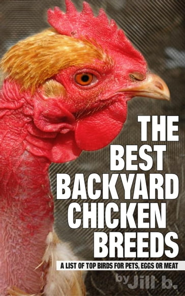 The Best Backyard Chicken Breeds: A List of Top Birds for Pets, Eggs and Meat - Jill b.