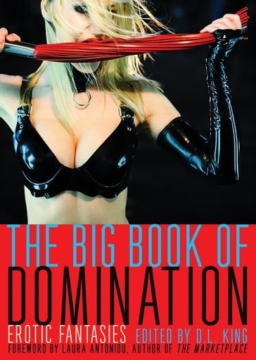 The Big Book of Domination - D. L. King
