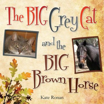 The Big Grey Cat and The Big Brown Horse - Kate Ronan