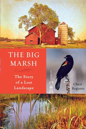 The Big Marsh - Cheri Register