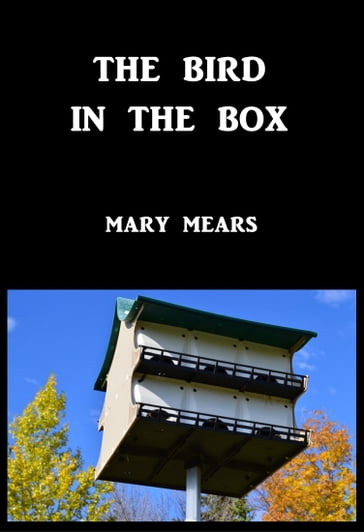 The Bird In The Box - Mary Mears