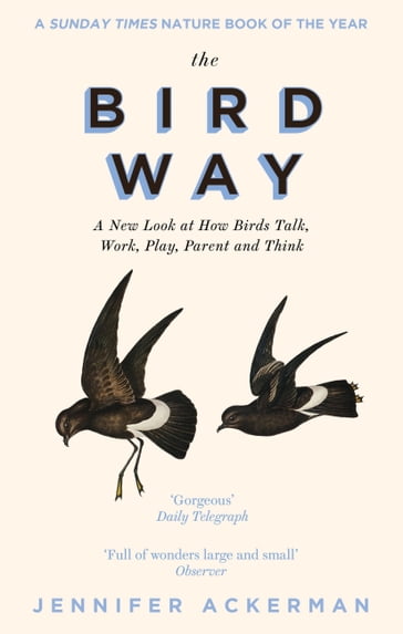 The Bird Way - Jennifer Ackerman