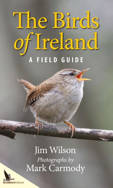 The Birds of Ireland - Jim Wilson - Mark Carmody