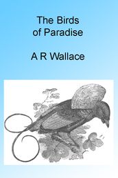 The Birds of Paradise, Illustrated
