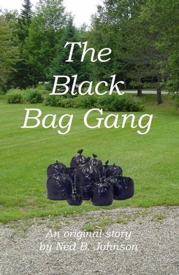 The Black Bag Gang - Ned Johnson