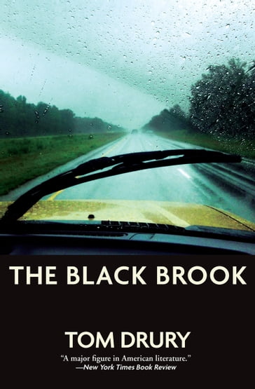 The Black Brook - Tom Drury