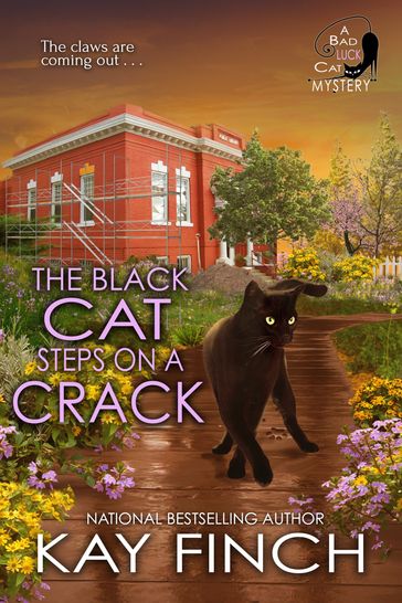 The Black Cat Steps on a Crack - Kay Finch