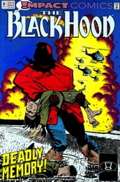 The Black Hood: Impact #9