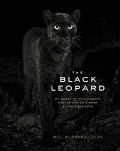 The Black Leopard