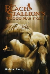 The Black Stallion s Blood Bay Colt