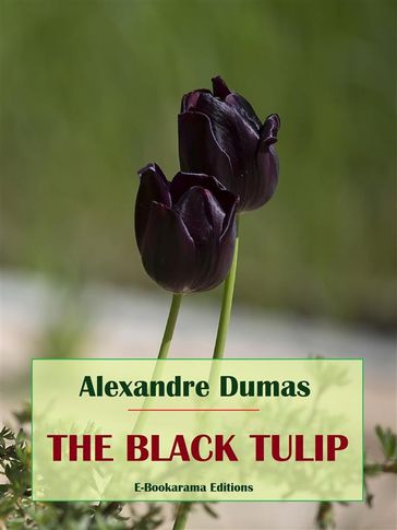 The Black Tulip - Alexandre Dumas