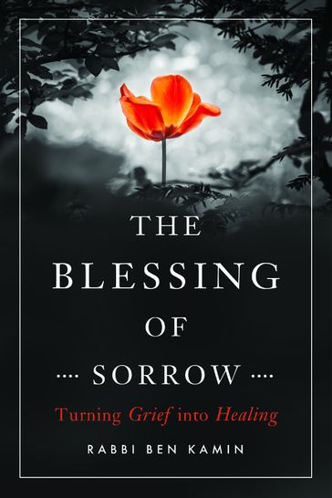 The Blessing of Sorrow - Rabbi Ben Kamin