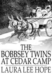 The Bobbsey Twins at Cedar Camp