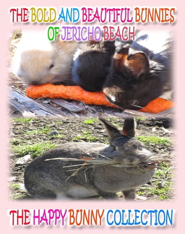 The Bold and Beautiful Bunnies of Jericho Beach - Rowena Kong - Annie Ho