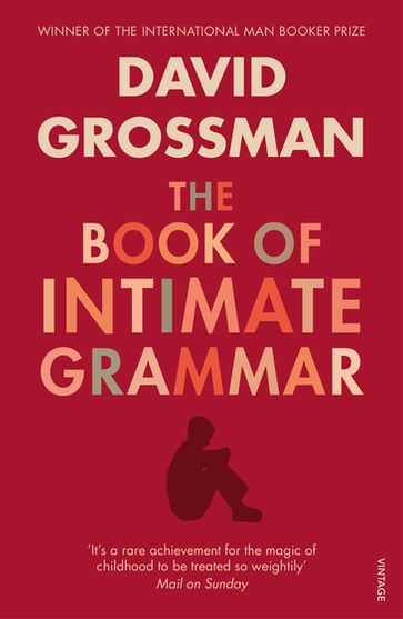 The Book Of Intimate Grammar - David Grossman