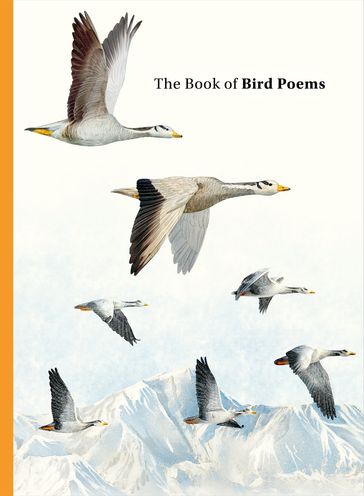 The Book of Bird Poems - Ana Sampson