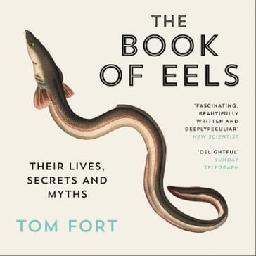 The Book of Eels: Their Lives, Secrets and Myths - Tom Fort