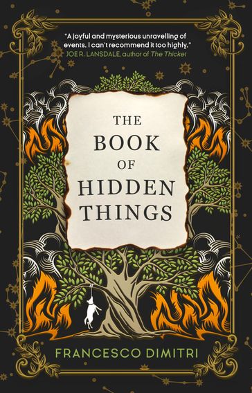 The Book of Hidden Things - Francesco Dimitri