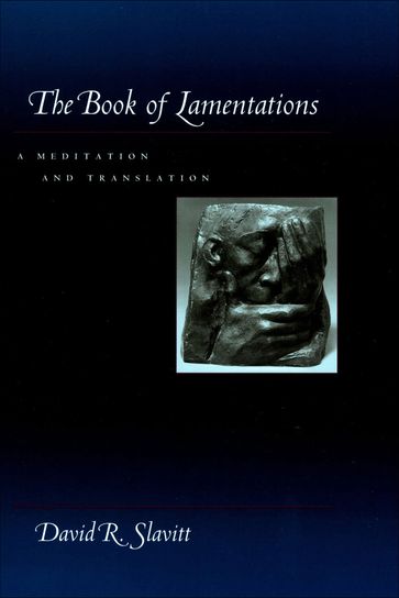 The Book of Lamentations - David R. Slavitt