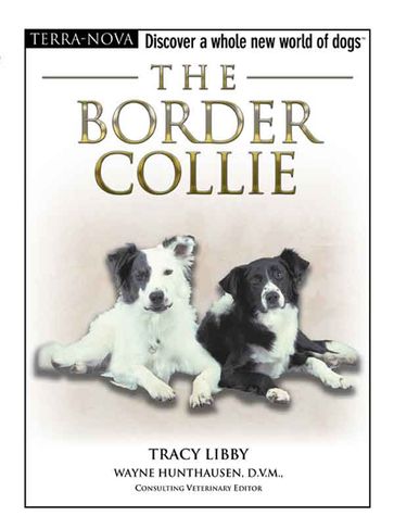 The Border Collie - Tracy Libby