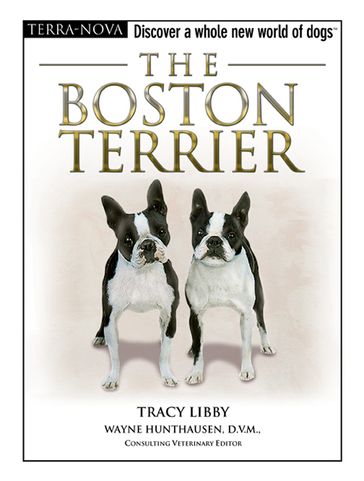 The Boston Terrier - Tracy Libby
