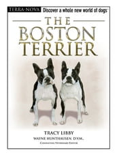 The Boston Terrier