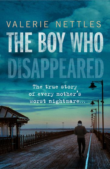 The Boy Who Disappeared - Valerie Nettles