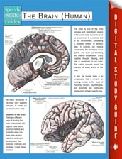 The Brain (Human) (Speedy Study Guides)