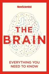 The Brain