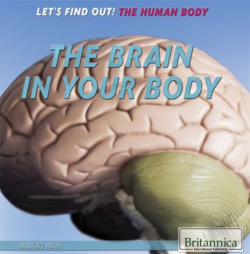 The Brain in Your Body - Jacob Steinberg