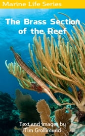 The Brass Section of the Reef