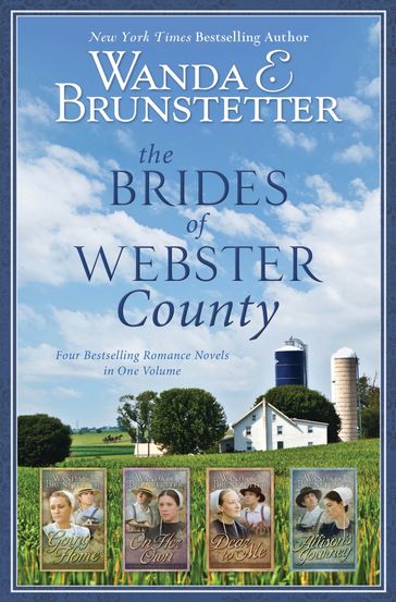 The Brides of Webster County - Wanda E. Brunstetter