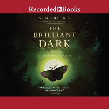 The Brilliant Dark - S.M. Beiko