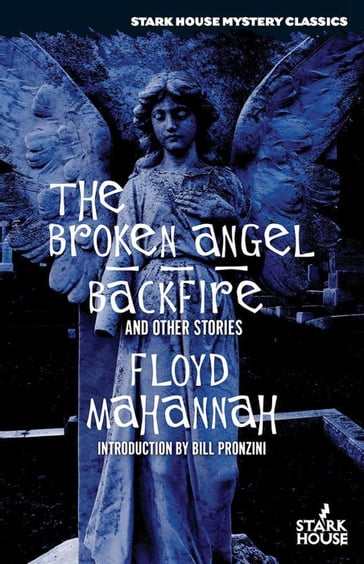 The Broken Angel / Backfire and Other Stories - Floyd Mahannah