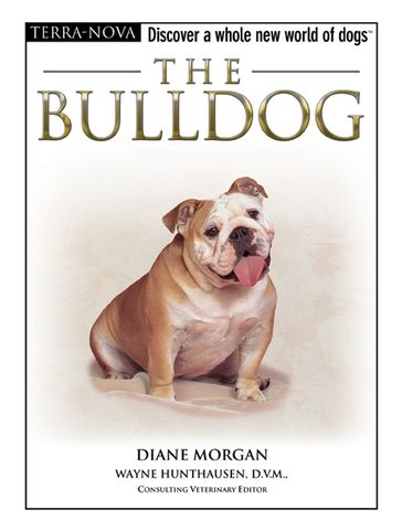 The Bulldog - Diane Morgan