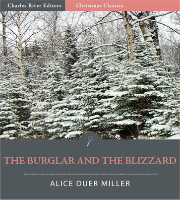 The Burglar and the Blizzard (Illustrated Edition) - Alice Duer Miller