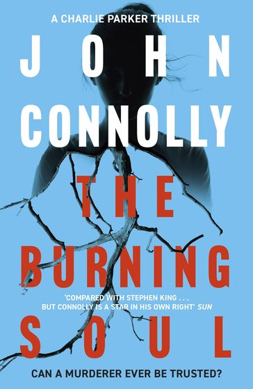 The Burning Soul - John Connolly