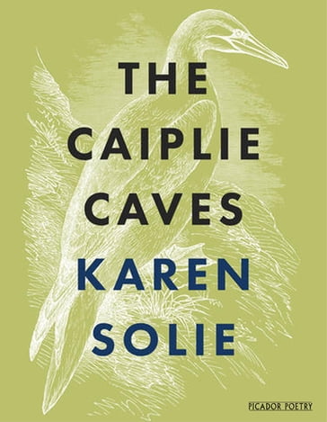 The Caiplie Caves - Karen Solie