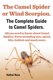The Camel Spider or Wind Scorpion. The Complete Guide to Camel Spiders. All You Need to Know About Camel Spiders. Facts Including Size, Speed, Bite and Habitat.