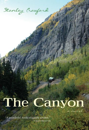The Canyon - Stanley Crawford