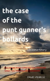 The Case Of The Punt Gunner s Bollards