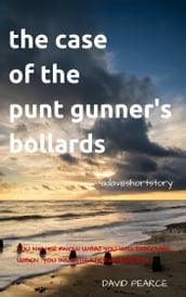 The Case of the Punt Gunner s Bollards