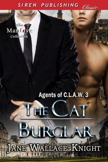 The Cat Burglar - Jane Wallace-Knight