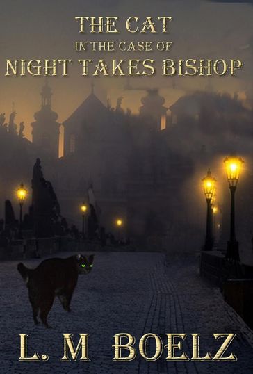 The Cat in the Case of Night Takes Bishop - L M Boelz