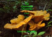 The Chanterelle Chronicles